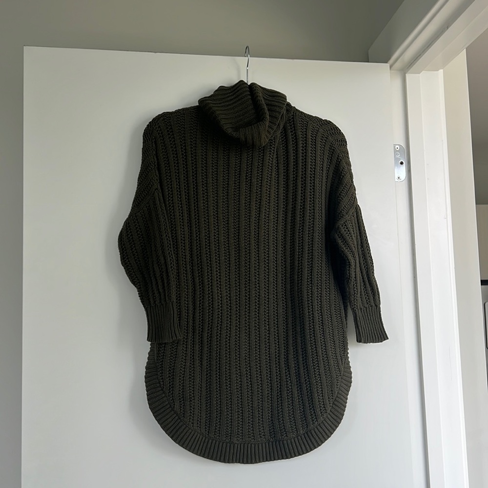 Express Turtleneck